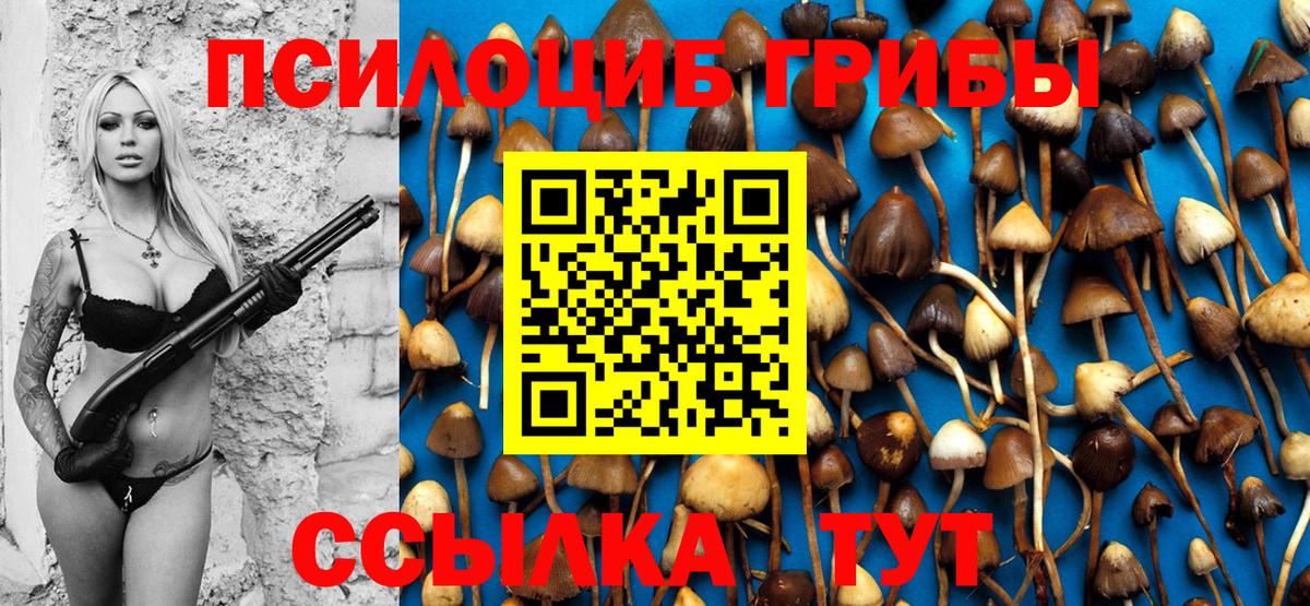 Псилоцибиновые грибы мицелий Коломна