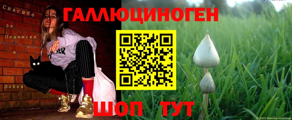Коломна  Псилоцибиновые грибы Cubensis  Псилоцибиновые грибы GOLDEN TEACHER  Вход с VPN 